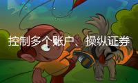 快排公司十年历程，霸屏兔 seo 的崛起与坚守