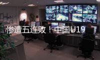 快排公司十年历程，霸屏兔 seo 的崛起与坚守