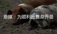 快排公司十年历程，霸屏兔 seo 的崛起与坚守