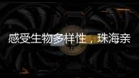 感受生物多样性�，珠海亲子家庭走进植物与昆虫的奇妙世界
