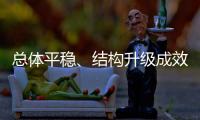 快排公司十年历程，霸屏兔 seo 的崛起与坚守