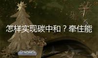 快排公司十年历程，霸屏兔 seo 的崛起与坚守