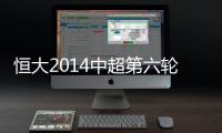快排公司十年历程，霸屏兔 seo 的崛起与坚守
