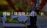 揭秘	！珠海路上近日“长”出的红色小锥锥有什么用？