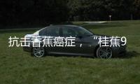 抗击香蕉癌症
，“桂蕉9号”出手