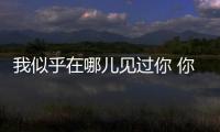 我似乎在哪儿见过你 你是央视上的丰叶板材
！