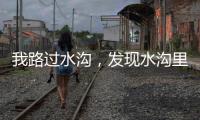 我路过水沟	，发现水沟里有两个年轻女子，水沟旁边站着一个小伙子