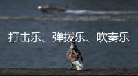 打击乐
、弹拨乐、吹奏乐、拉弦乐
，中国各类民族乐器入门难度如何