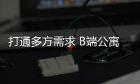 快排公司十年历程，霸屏兔 seo 的崛起与坚守