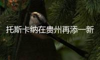 托斯卡纳在贵州再添一新成员，队伍正在日益壮大