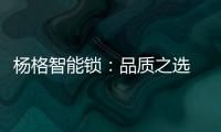 杨格智能锁：品质之选 腾讯QQfamily智能门锁独家供应商
