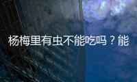 杨梅里有虫不能吃吗
？能吃！