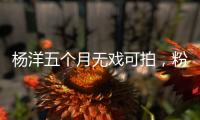 杨洋五个月无戏可拍�，粉丝急盼回归娱乐圈！