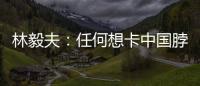 林毅夫�：任何想卡中国脖子的做法，只会加速中国进步