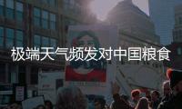极端天气频发对中国粮食生产有何影响	？