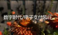 数字时代/电子支付风行内地
：用过谁愿放手