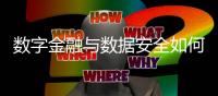 数字金融与数据安全如何兼得？｜2023新金融发展报告②