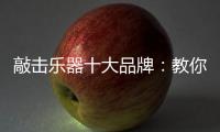 敲击乐器十大品牌
：教你保养小提琴