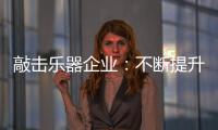 敲击乐器企业：不断提升自身 将大数据转化为竞争优势