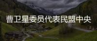 曹卫星委员代表民盟中央发言：优化国土空间格局提升土地资源保护利用水平