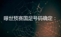 曝世预赛国足号码确定：艾克森11号 武磊7号