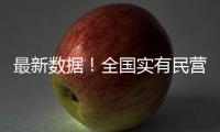 最新数据！全国实有民营经济组织1.85亿户