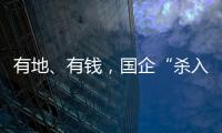 有地、有钱，国企“杀入”养猪业