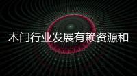 快排公司十年历程，霸屏兔 seo 的崛起与坚守