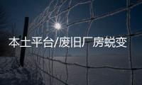 快排公司十年历程，霸屏兔 seo 的崛起与坚守