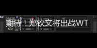 期待	
！郑钦文将出战WTA500华盛顿站比赛
