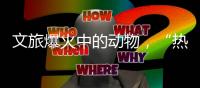 文旅爆火中的动物�
，“热爱不代表零距离接触”