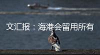 快排公司十年历程，霸屏兔 seo 的崛起与坚守