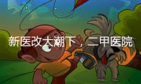 新医改大潮下，二甲医院如何夹缝求生
？