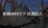 快排公司十年历程，霸屏兔 seo 的崛起与坚守