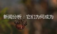 新闻分析	：它们为何成为2020年度全国十大考古新发现
�？