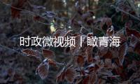 快排公司十年历程，霸屏兔 seo 的崛起与坚守