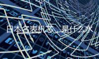 快排公司十年历程，霸屏兔 seo 的崛起与坚守