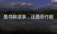 快排公司十年历程，霸屏兔 seo 的崛起与坚守