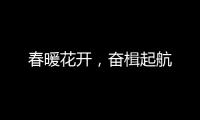 快排公司十年历程，霸屏兔 seo 的崛起与坚守