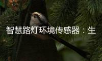 智慧路灯环境传感器�：生态+城市建设