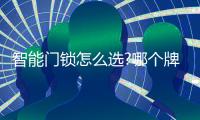 智能门锁怎么选?哪个牌子好?VOC
、小米、凯迪仕、德施曼哪款好