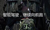 智能驾驶
	，继续向前跑！