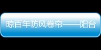 快排公司十年历程，霸屏兔 seo 的崛起与坚守