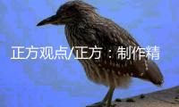 正方观点/正方	：制作精良审美佳 国产动漫新惊喜