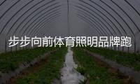 快排公司十年历程，霸屏兔 seo 的崛起与坚守