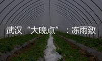 武汉“大晚点”�：冻雨致冰的高铁难题