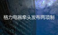 格力电器牵头发布两项制冷压缩机国际标准 董明珠：消费者的需要才是真正的标准