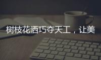 树枝花洒巧夺天工，让美在世界流淌