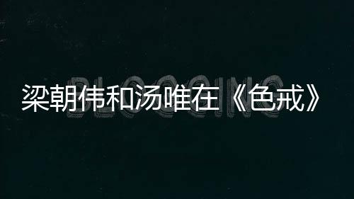 假戏真做电影上映之后