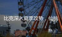 比克深入夏季攻势�，仙桃市场开门红